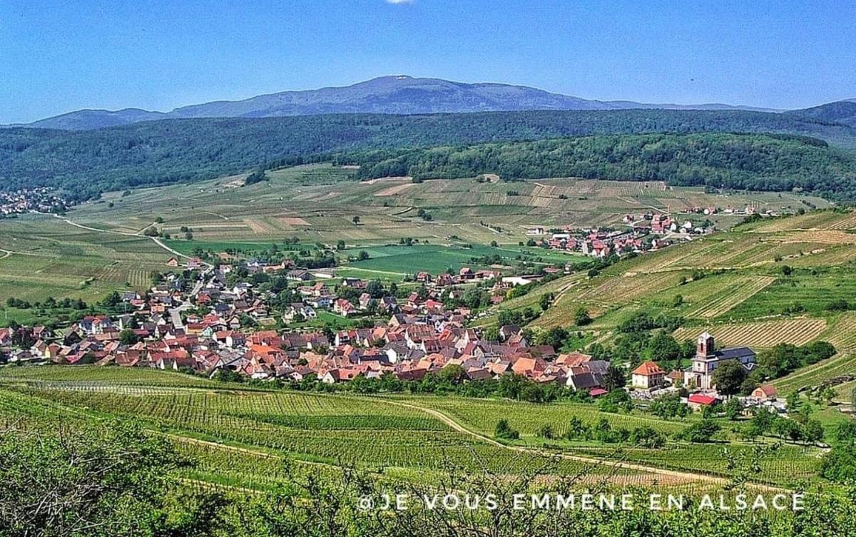 Gites Du Bel Alsace Cote Vignoble Westhalten Bagian luar foto